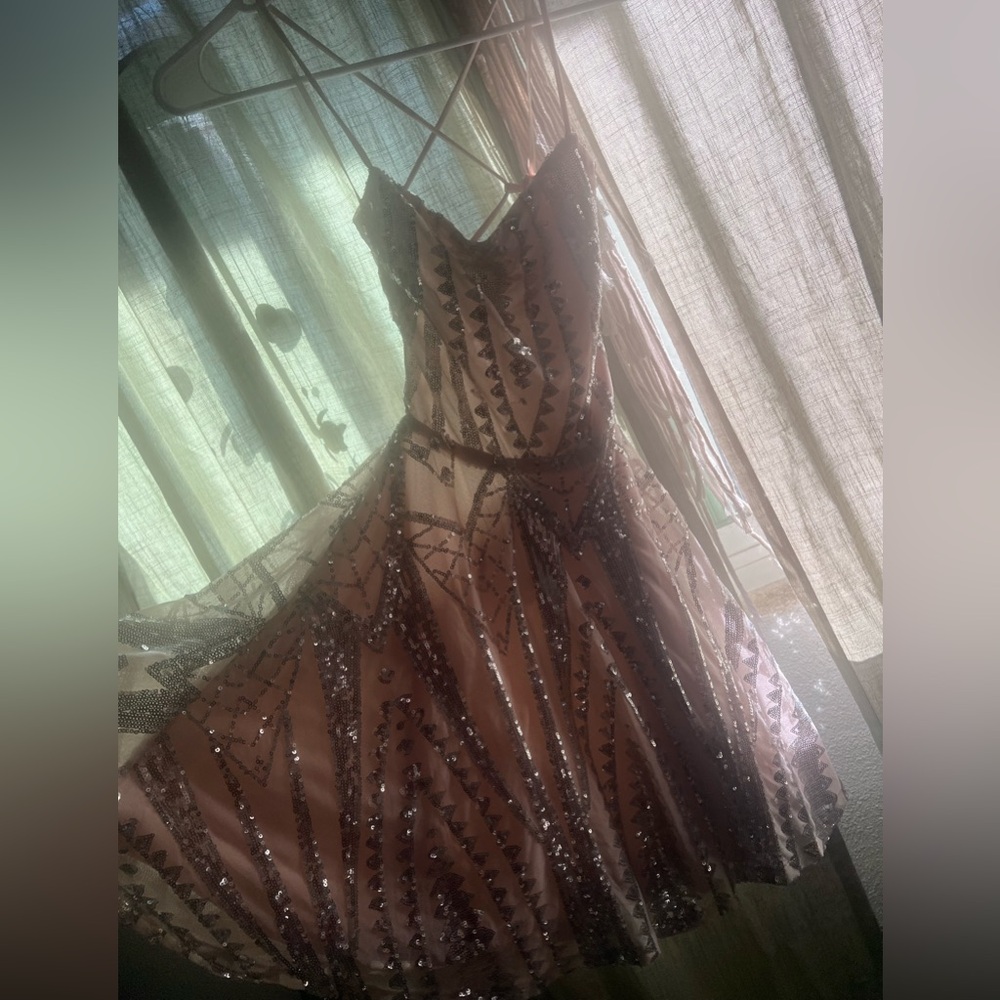 Windsor Pink/Silver Sequin Dress